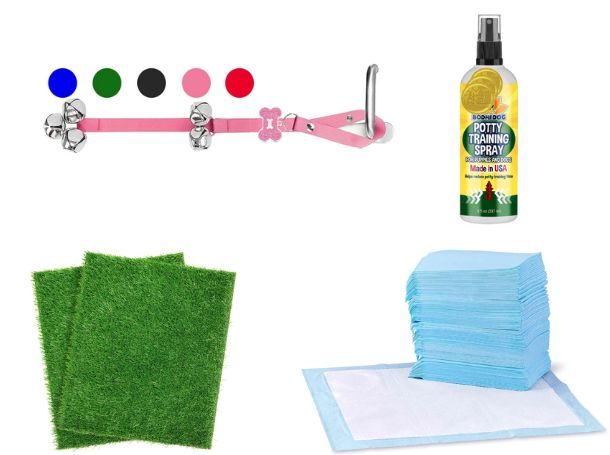 Best Puppy Potty Training Products