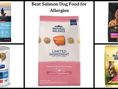 Best Salmon Dog Food for Allergies