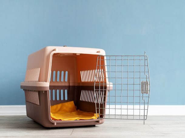 Choosing the Right Crate for Your Puppy’s Night Training