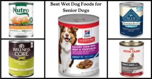 Best Wet Dog Foods for Senior Dogs