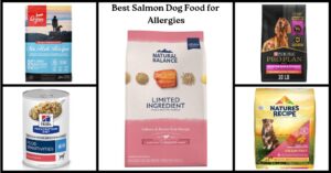 Best Salmon Dog Food for Allergies