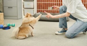 Puppy Crate Training Schedule